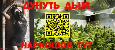 apvp Обь