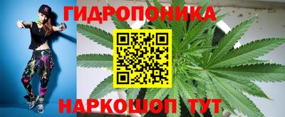 apvp Обь