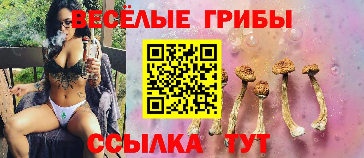купить наркотики цена  Вход с VPN  Сланцы  Галлюциногенные грибы прущие грибы 