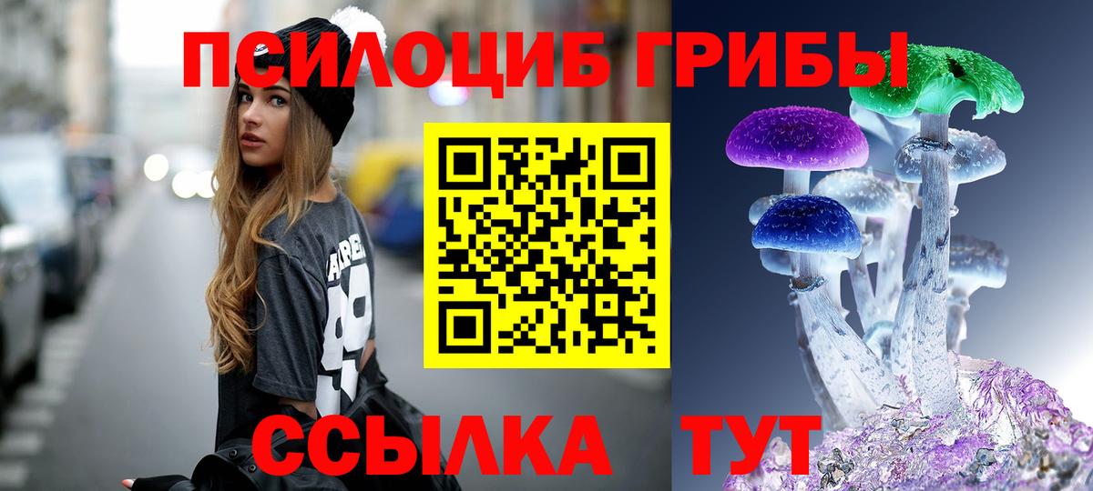 Галлюциногенные грибы мицелий Сланцы